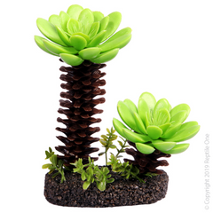 Reptile One Succulent Tree With Sand Base Medium 11X5.5X13.5Cm-1