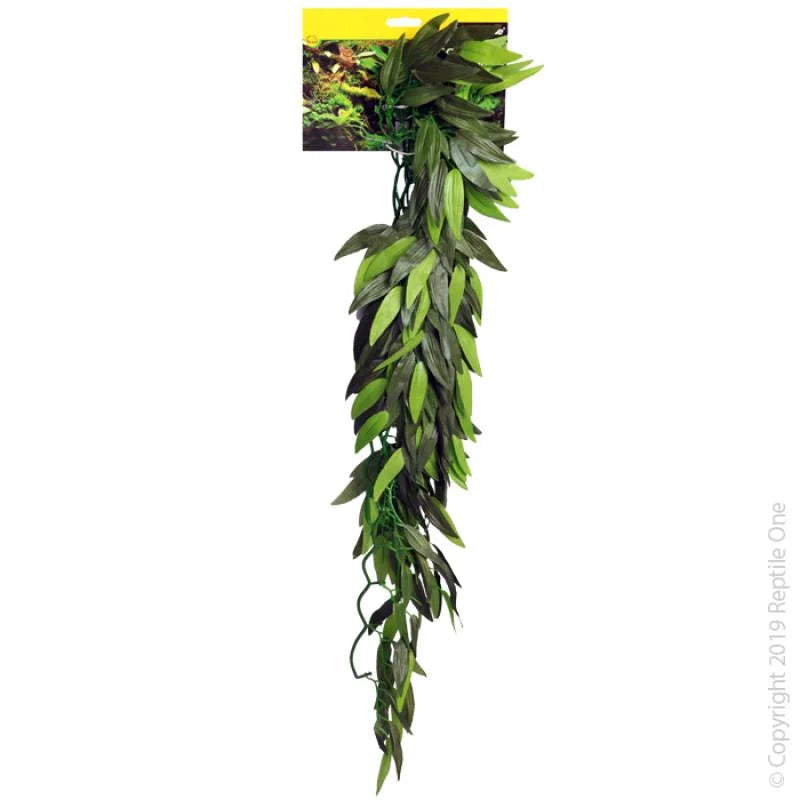 Reptile One Tradescantia Cascading Plant 40Cm Green
