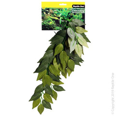 Reptile One Varigated Ivy Cascading Plant 72Cm Green-1