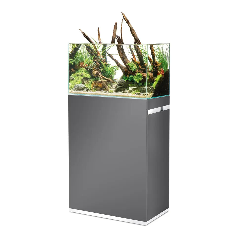 OASE ScaperLine 100 grey Set | 87987 (87998 & 88023)-3