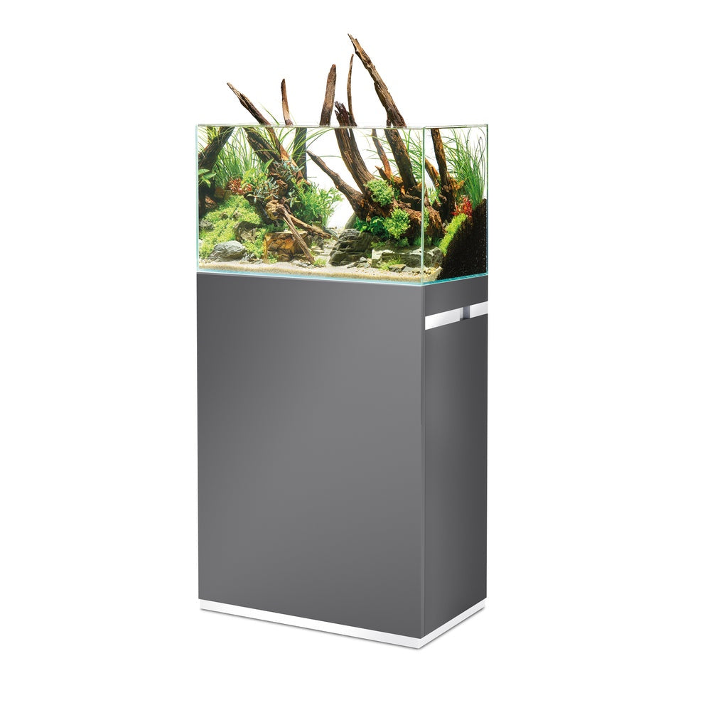 OASE ScaperLine 60 grey Set | 87983 (87996 & 88018)-1