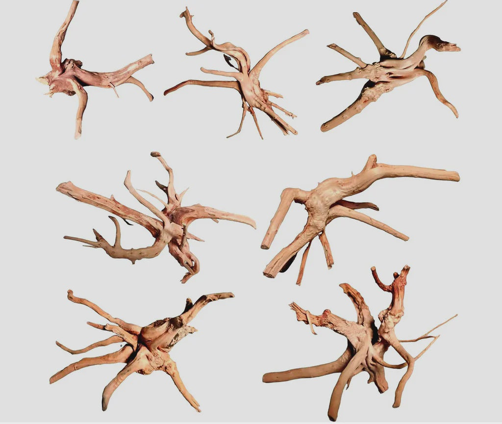 Spider Wood 20-30cm-1