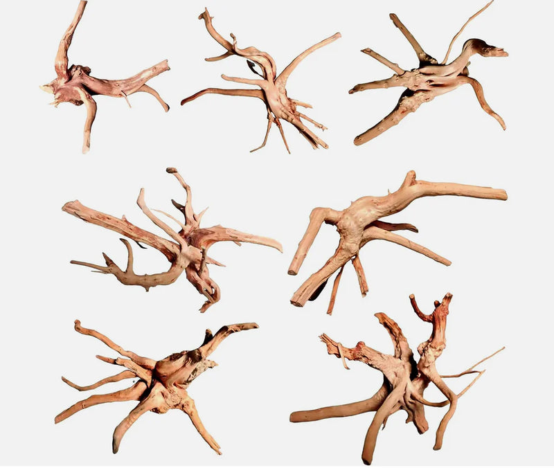 Spider Wood 20-30cm-1