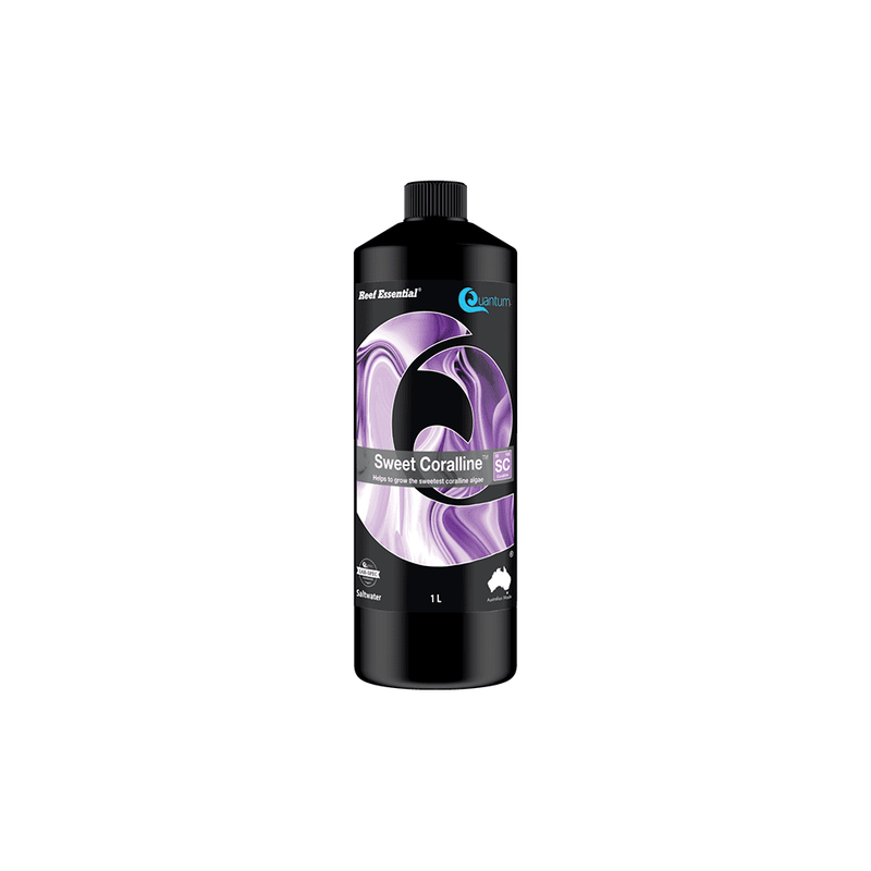Quantum Sweet Coralline-4