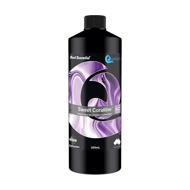 Quantum Sweet Coralline-3
