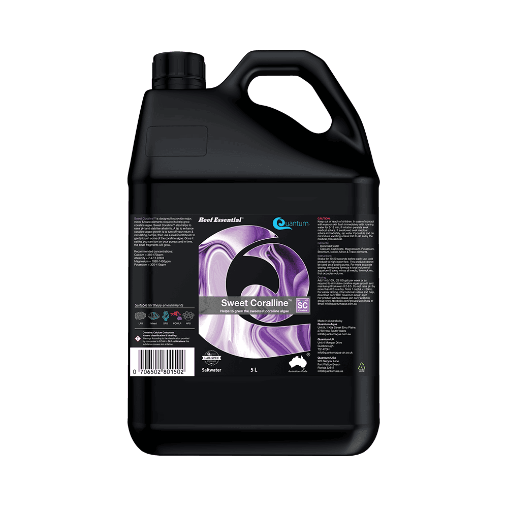 Quantum Sweet Coralline-5
