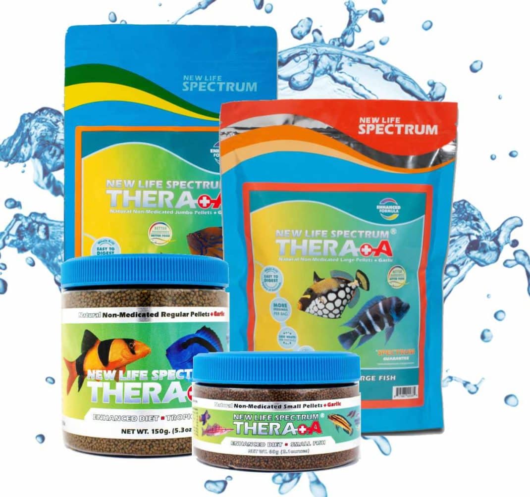 New Life Spectrum Thera A+ Large 2.2kg