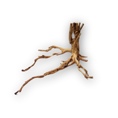 Gold Forest Wood X-Large per piece-1