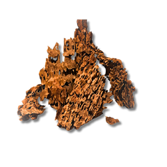 Dragonwood X-Large per piece-1