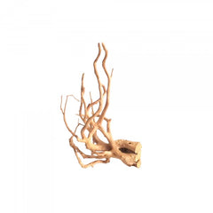 Spider Wood Medium 30 - 40cm 1 Pieces-1