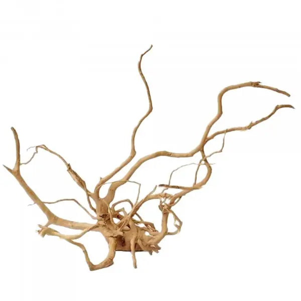 Spider Wood XLarge 50 - 60cm 6 Pieces-1