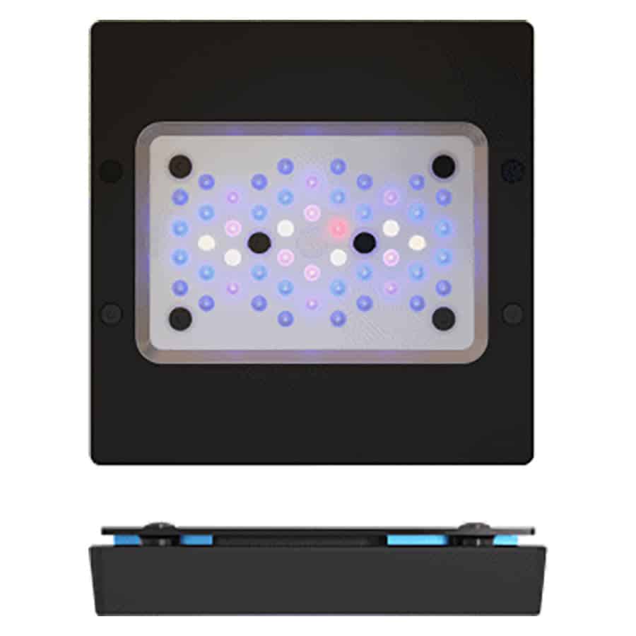 Ecotech Radion XR15 Gen 6 Blue Light-1