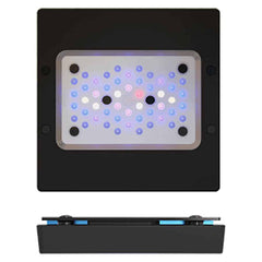 Ecotech Radion XR15 Gen 6 Blue Light-1