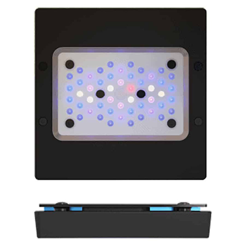 Ecotech Radion XR15 Gen 6 Blue Light-1