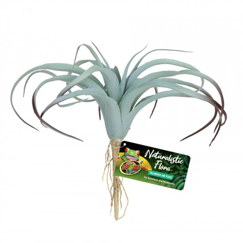 Zoo Med Tillandsia-1
