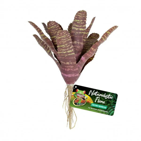 Zoo Med Chestnut Bromeliad-1