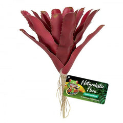 Zoo Med Fireball Bromeliad-1