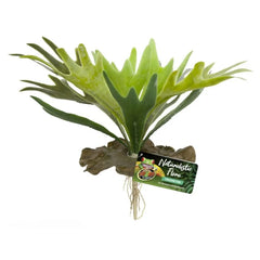 Zoo Med Staghorn Fern-1