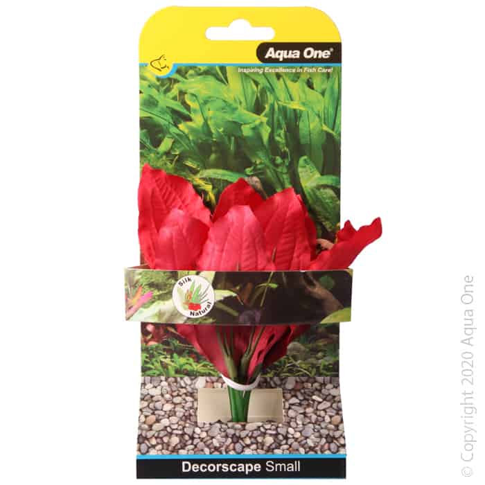 Silk Plant Amazon Red Sm-1