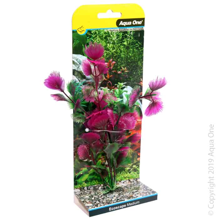 Ecoscape Medium Fan Palm Pink-1