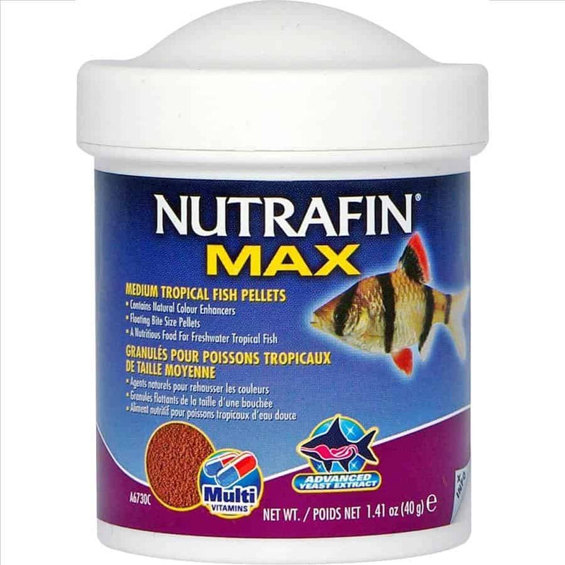 Nutrafin Max Medium Tropical Fish Pellets 40g Floating-1