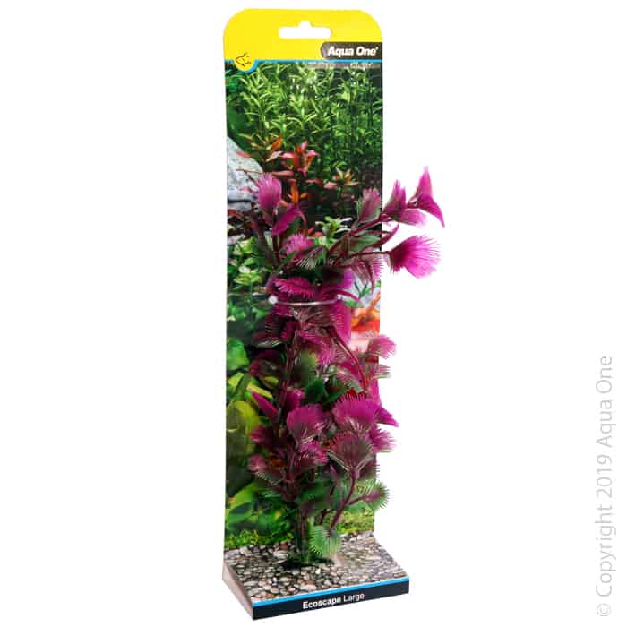 Ecoscape Large Fan Palm Pink-1