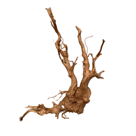 Dymax Tweety Wood Xlarge