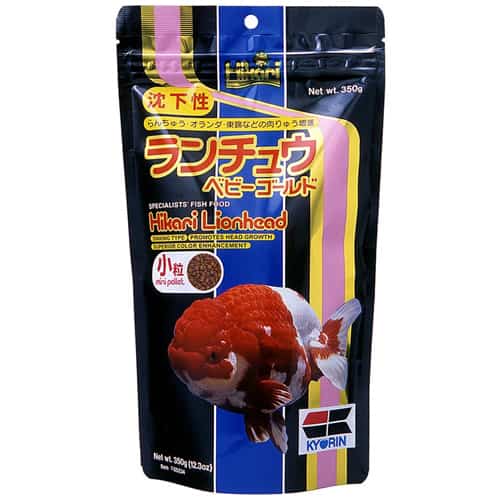 Hikari Lionhead Mini-1