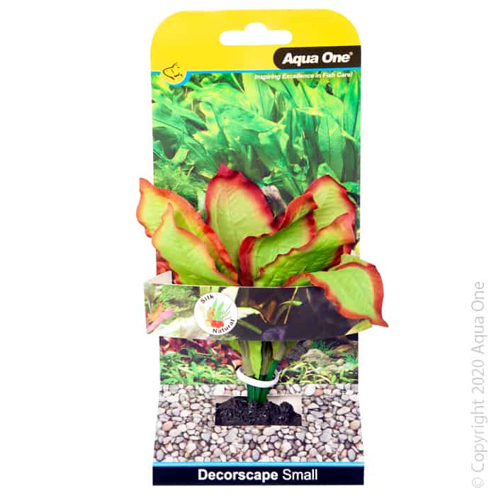 Silk Plant Amazon Red Green Sm