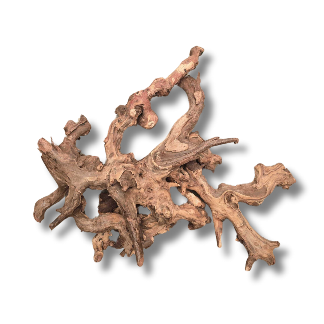 Bioscape Amazon Wood M 45-60cm-1