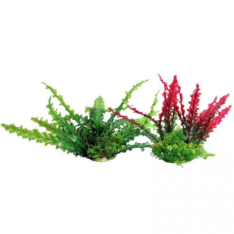 Ecoscape Medium Ruffled Lace Plant Red-1