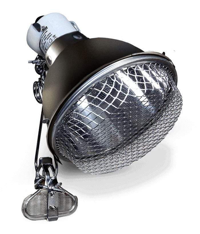 Arcadia Reflector Clamp Lamp + Ceramic E27 Lampholder SS - 20cm-1