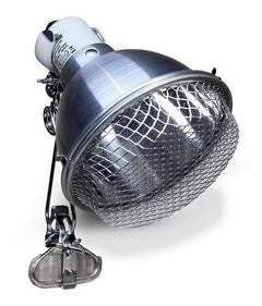 Arcadia Reflector Clamp Lamp + Ceramic E27 Lampholder SS - 14cm-1