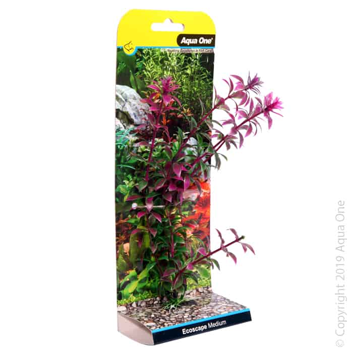 Ecoscape Medium Rotala Red-1