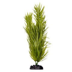 Ecoscape Large Pogostemun-1