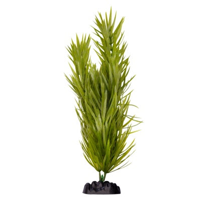 Ecoscape Large Pogostemun