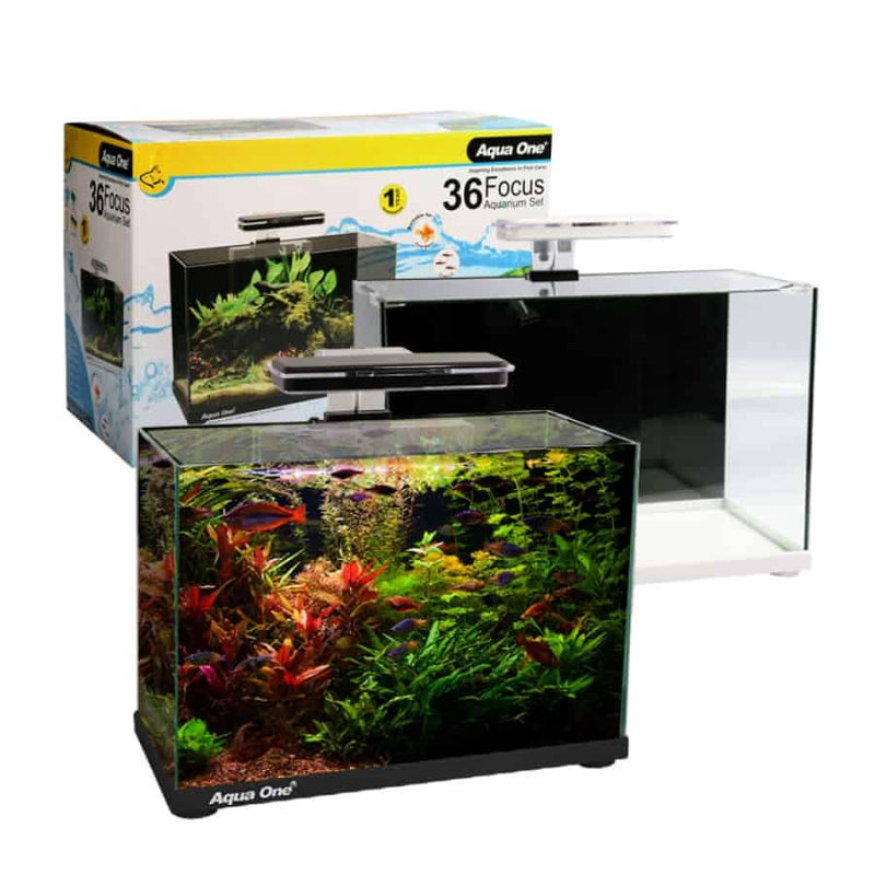 Aqua One Focus Aquarium 36 Litres-1