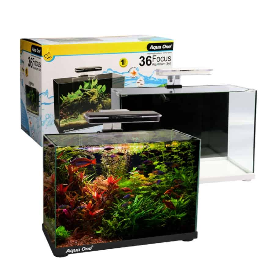 Aqua One Focus Aquarium 36 Litres