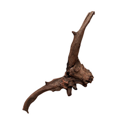 Dymax Drift Wood Xlarge-1