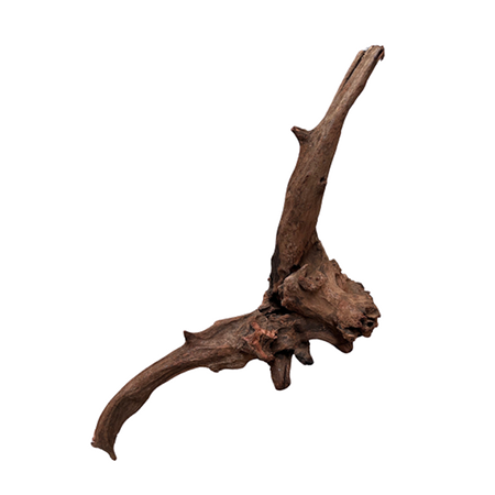 Dymax Drift Wood Xlarge