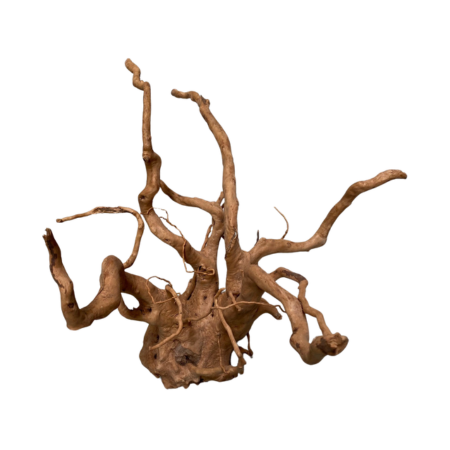 Dymax Tweety Wood Medium-1