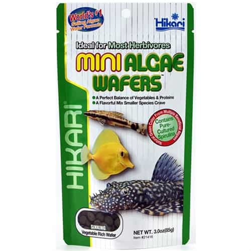 Hikari Mini Algae Wafers-1