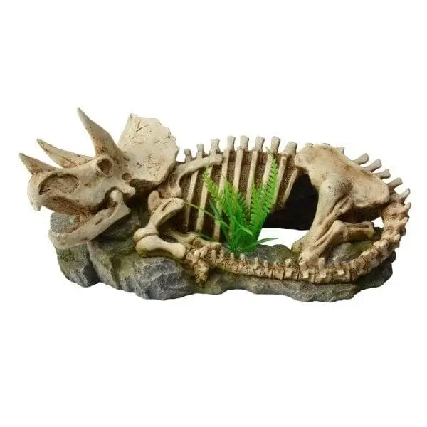 Bioscape Dinosaur Skeleton with Plant 25.5 x 12cm
