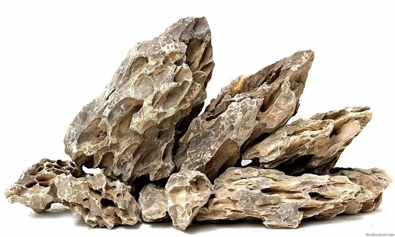 Bioscape Dragon Rock Pack 5kg-1