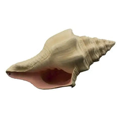 Bioscape Murex Shell 17.5cm-1