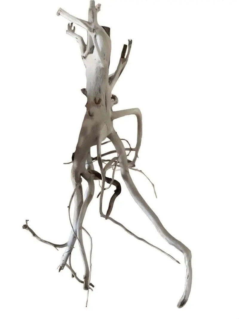 Bioscape Phantom Driftwood 20-30cm-1