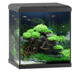 Juwel Vio Cube Aquarium-1