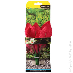 Silk Plant Amazon Red Md-1