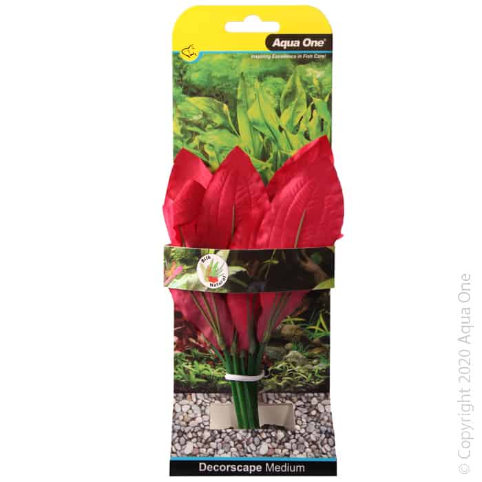 Silk Plant Amazon Red Md