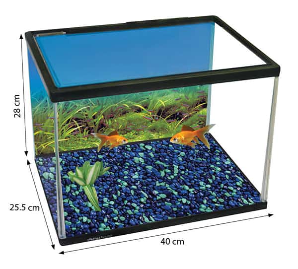 Splish & Splash Starter Kit Large 28L Glass